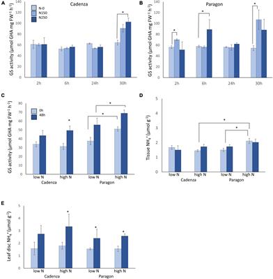 Genetic Diversity in Nitrogen Fertiliser Responses and N Gas Emission in Modern Wheat